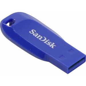 SanDisk Cruzer Blade 64 GB USB flash drive