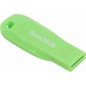 SanDisk Cruzer Blade 32 GB USB flash drive