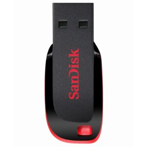 SanDisk Cruzer Blade USB flash drive
