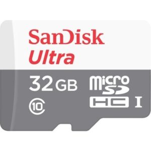 SanDisk SDSQUNR-032G-GN3MN memory card