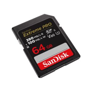 SanDisk SDSDXEP-064G-GN4IN memory card