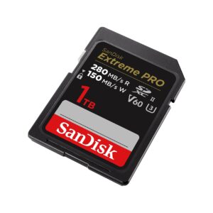 SanDisk SDSDXEP-1T00-GN4IN memory card