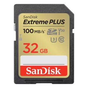 SanDisk SDSDXW2-064G-GNCIN