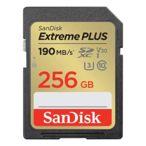 SanDisk SDSDXW2-256G-GNCIN
