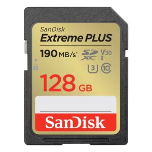 SanDisk SDSDXW2-128G-GNCIN