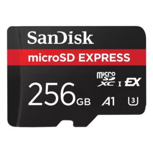 SanDisk Express