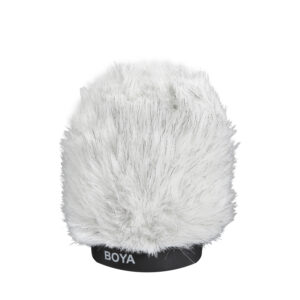 BY-P100 professional windshield 100mm