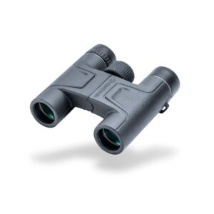 Vanguard Vesta 1025 - Prismáticos compactos 10x25